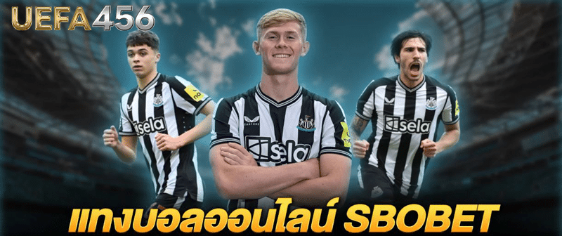 sbobetแทงบอล